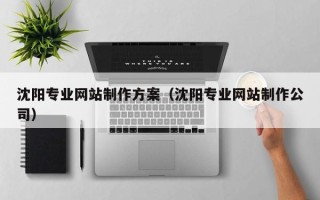 乌海沈阳专业网站制作方案（沈阳专业网站制作公司）